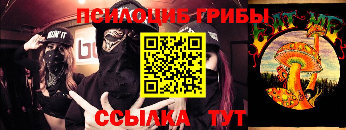Галлюциногенные грибы прущие грибы Чайковский
