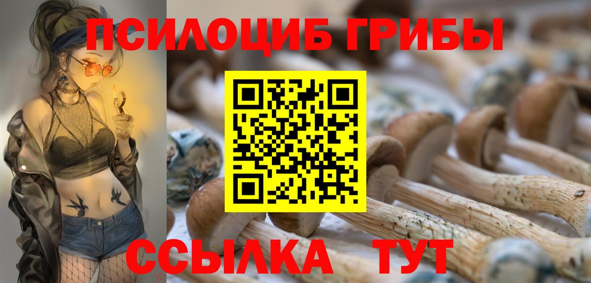 Галлюциногенные грибы Psilocybe  Вход с VPN  Псилоцибиновые грибы Psilocybe  Чайковский 